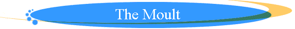 The Moult