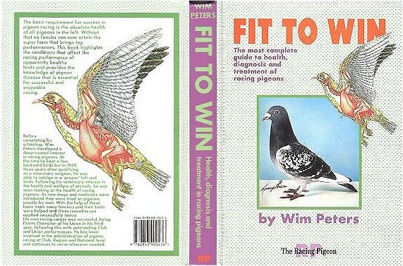 fittowin.jpg (99482 bytes)